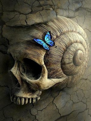 cover image of El Observado
